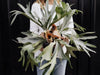 Common Staghorn Fern Problems and How To Fix Them