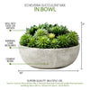 7'' Faux Succulent Plant in Stone Pot