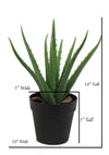 The Mod Greenhouse 14" Artificial Green Aloe Vera Plant in a Matte Black Grower'S Pot