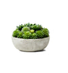 7'' Faux Succulent Plant in Stone Pot