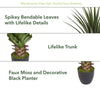 48'' Faux Agave Plant in Pot