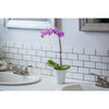 Salmon 3 In. Charming Orchid Plant in Ceramic Pot