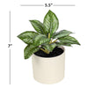 6.5" Artificial Purple Leaf Plant in Cream Pot