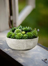 7'' Faux Succulent Plant in Stone Pot