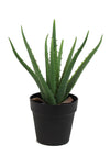The Mod Greenhouse 14" Artificial Green Aloe Vera Plant in a Matte Black Grower'S Pot