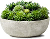 7'' Faux Succulent Plant in Stone Pot